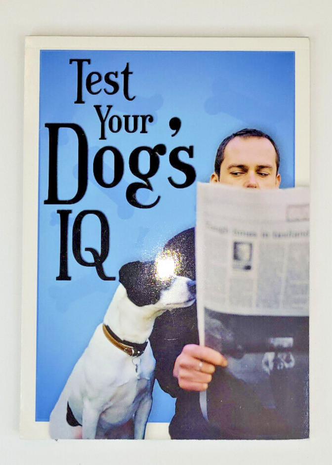 Test Your Dog’s IQ Perfect