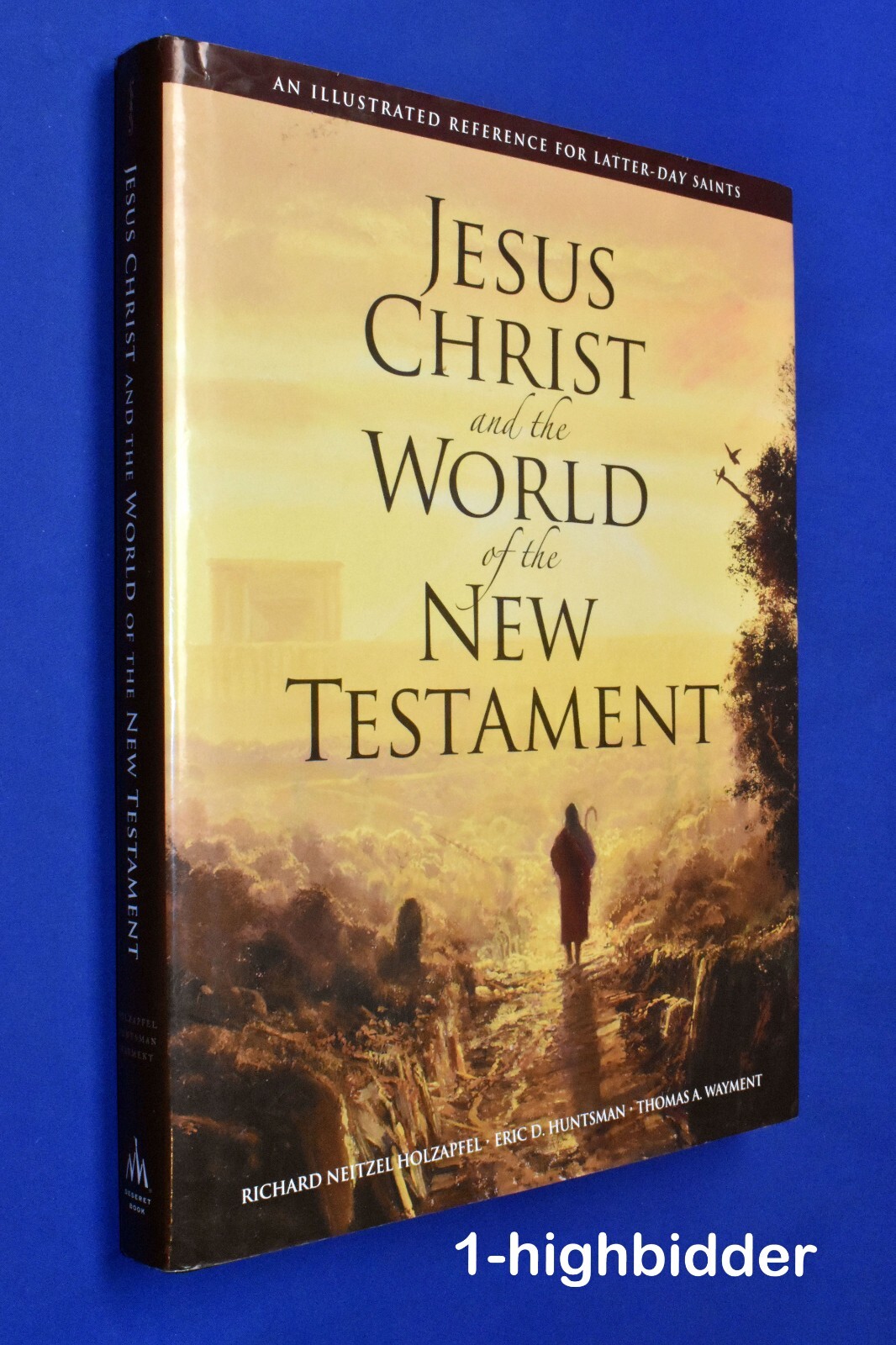 Jesus Christ and the World of the New Testament 1st Ed HCDJ Holzapfel Mormon LDS