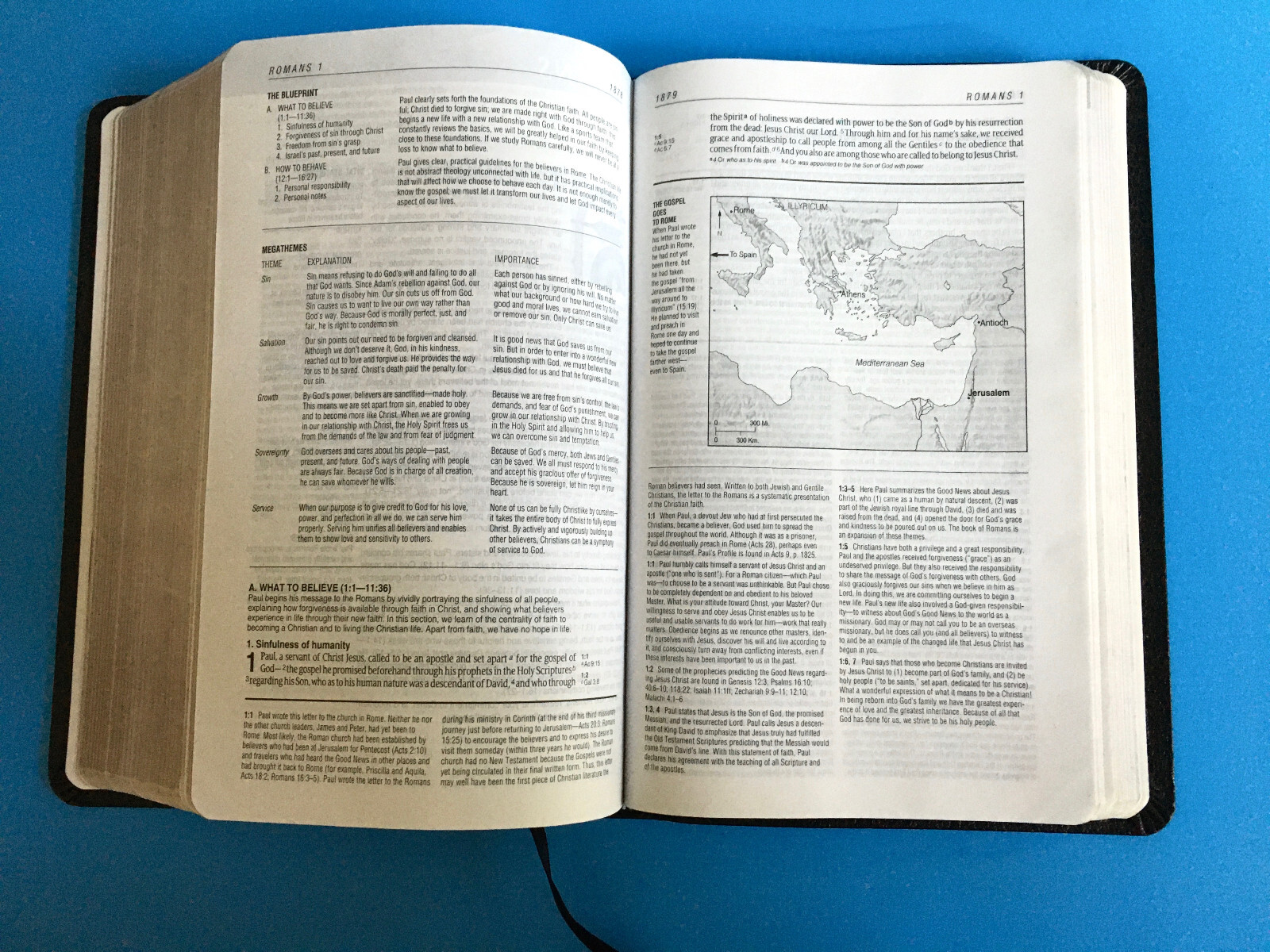 Life Application Study Bible International Version Tyndale 2005, Gilded Pages