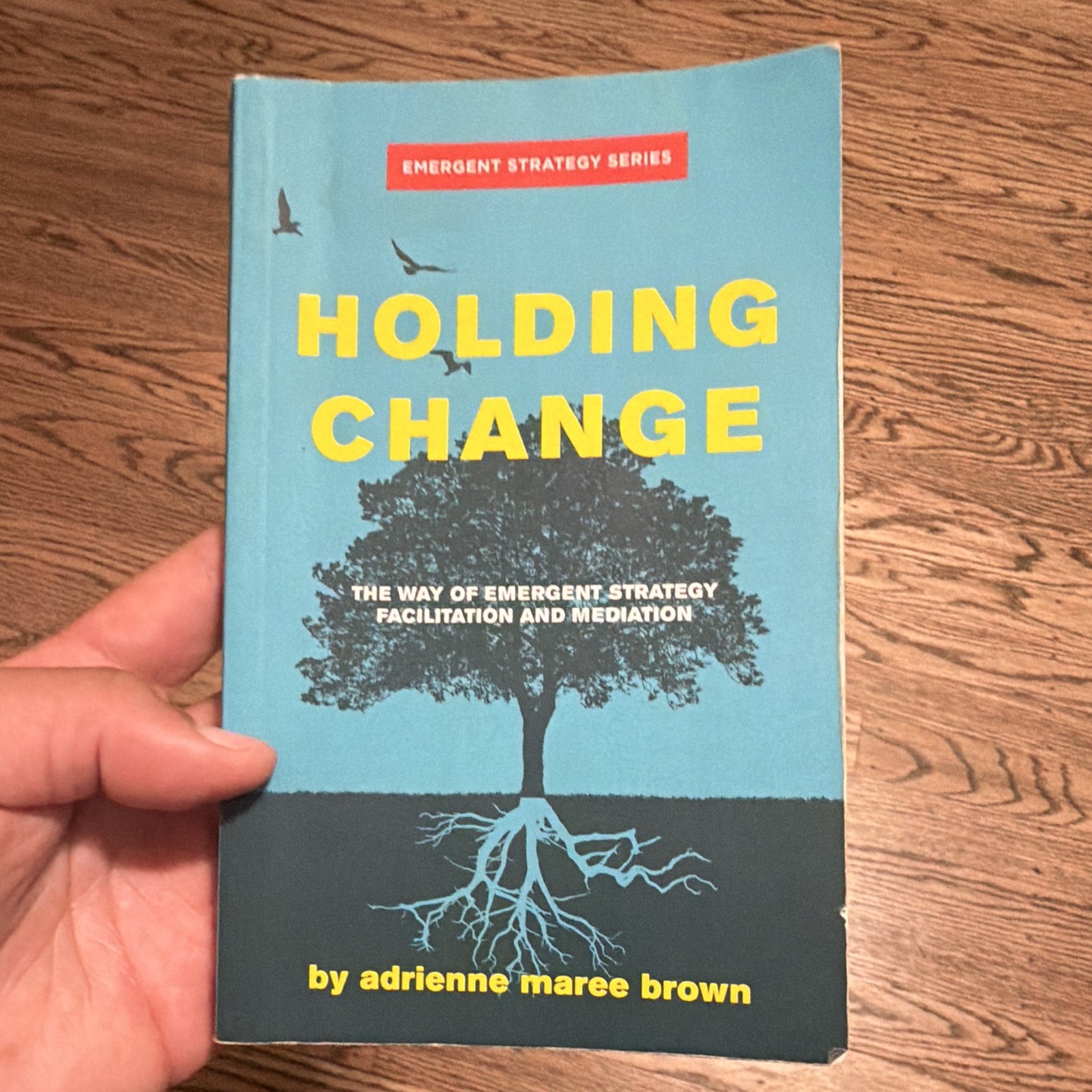adrienne maree brown Holding Change Emergent Strategy Series Paperback, AK Press