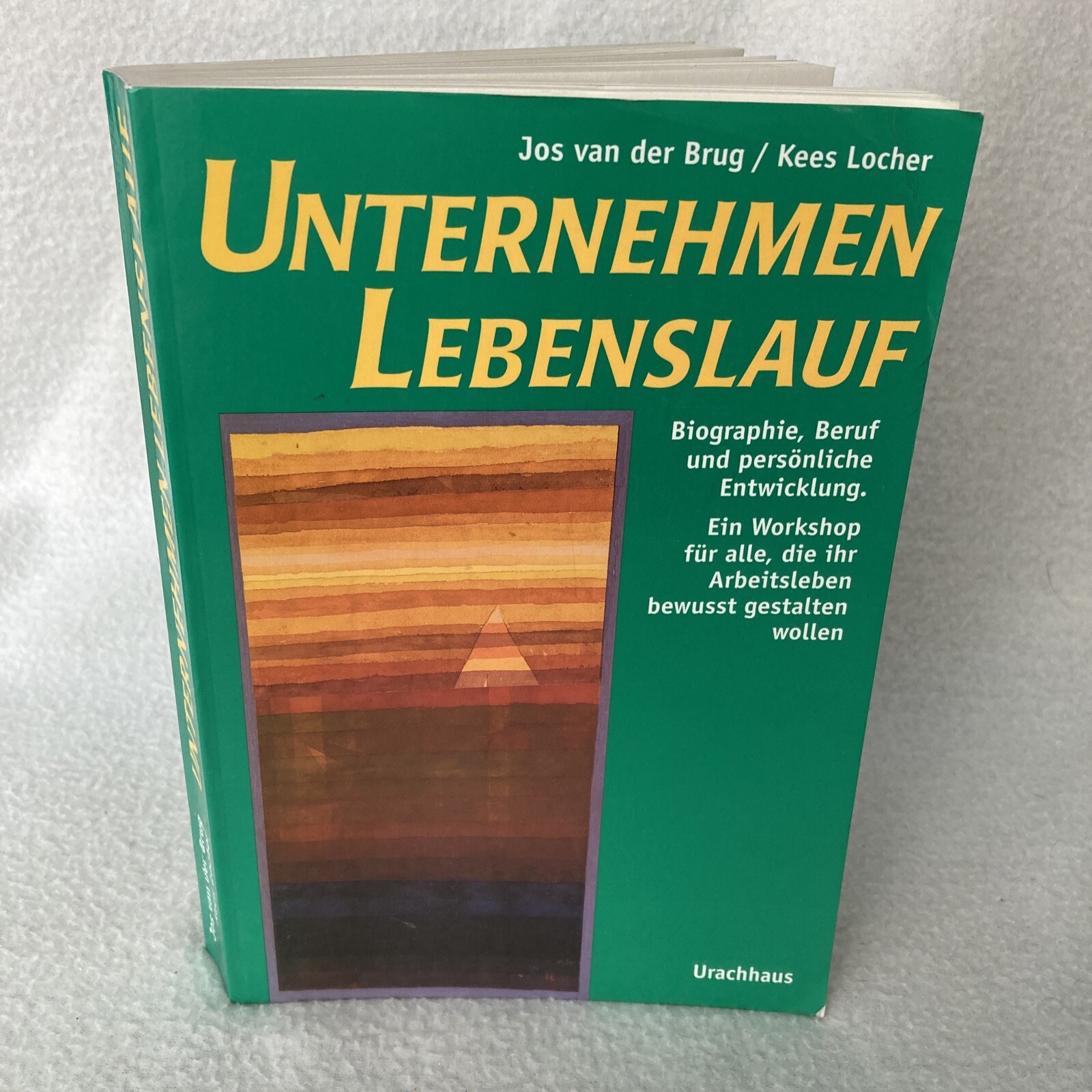 Unternehmen Lebenslauf Persönliche Entwicklung Sachbuch Book in German Language