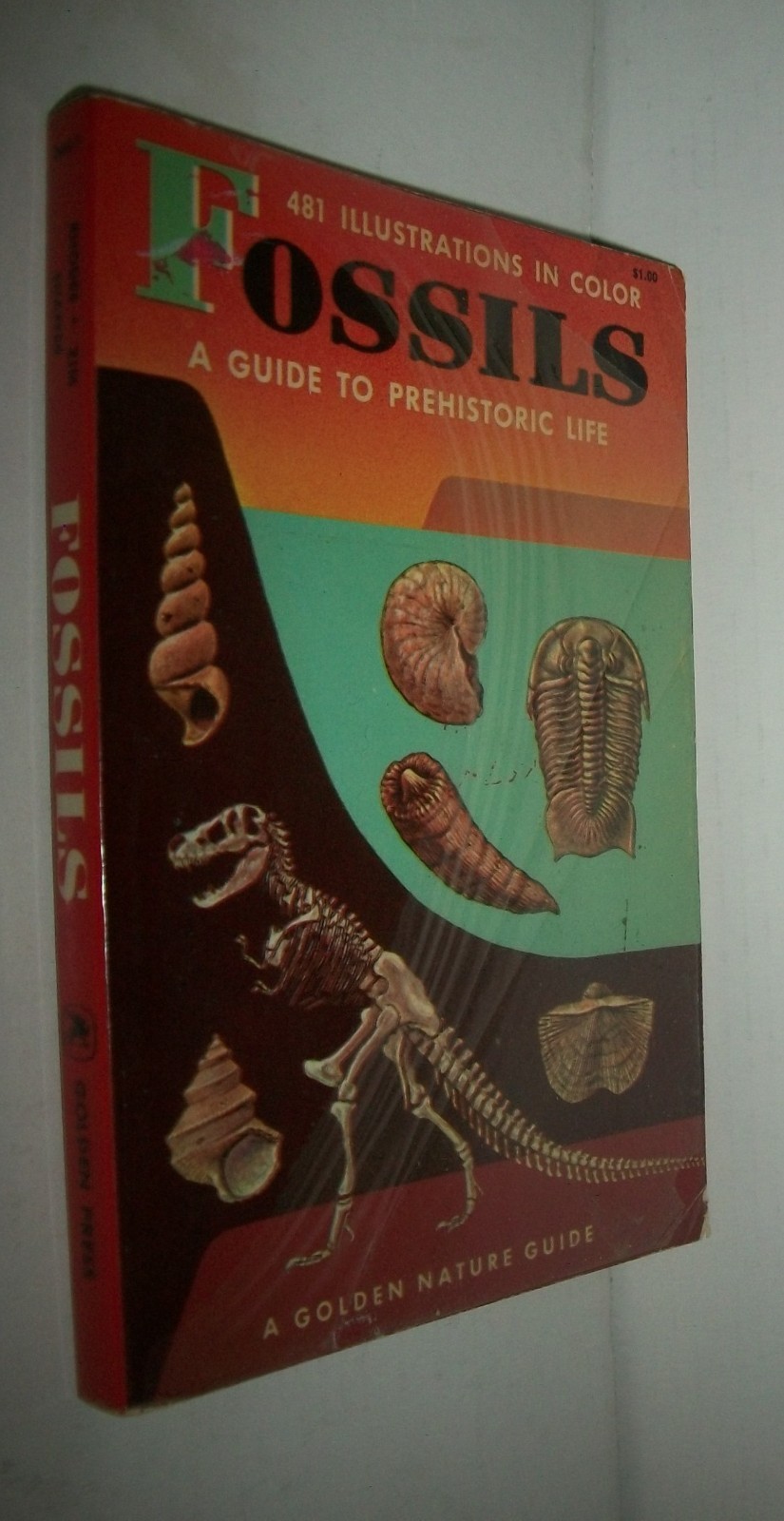 A Golden Nature Guide PB 1962 Fossils G print 160p 24411 Frank Rhodes $1.00 VG