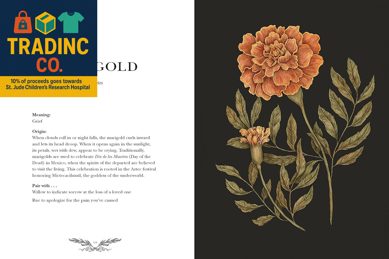 Floriography: Illustrated Guide to the Victorian Language of Flowers, Vol. 1