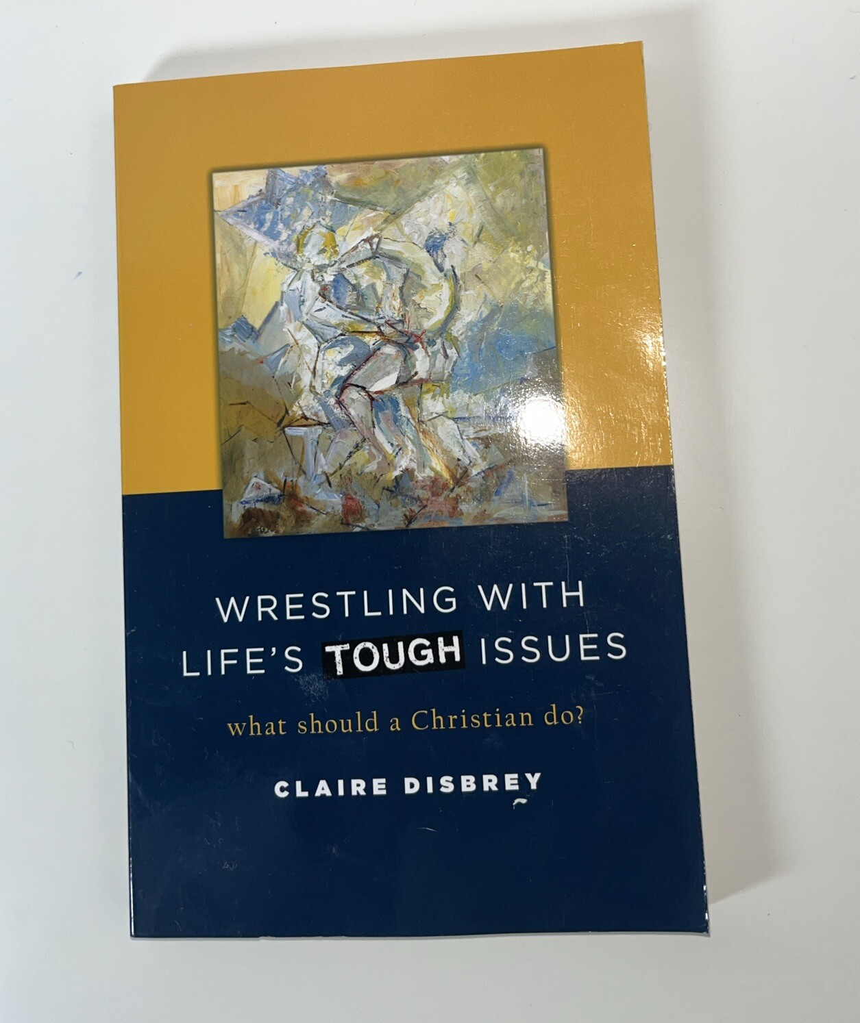 Wrestling with Life’s Tough Issues : What Should a Christian Do? by Claire…