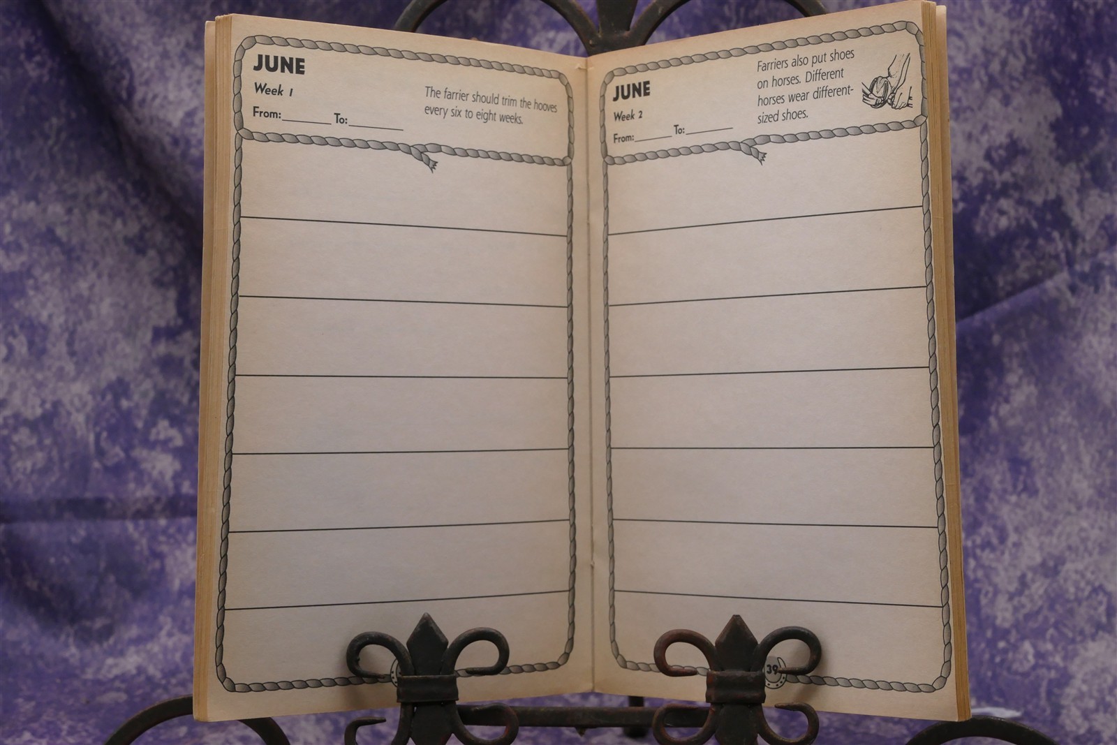 Pony Pals Planner, Scholastic Paperback 1999 79 pages