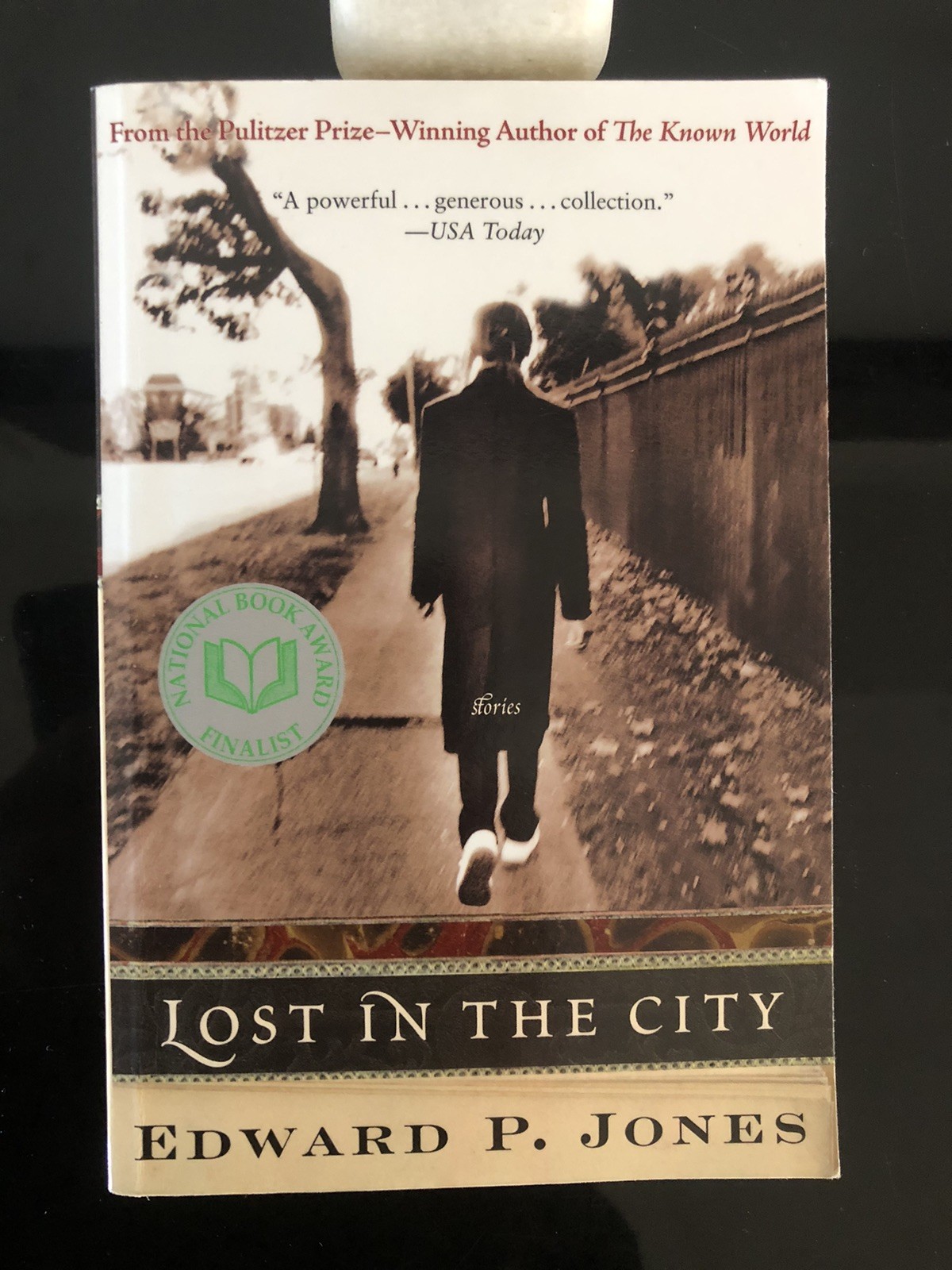 Edward P Jones Winner Of Pulitzer Prize Lost In The City Amistad 2003 F. Ed/F.Pr