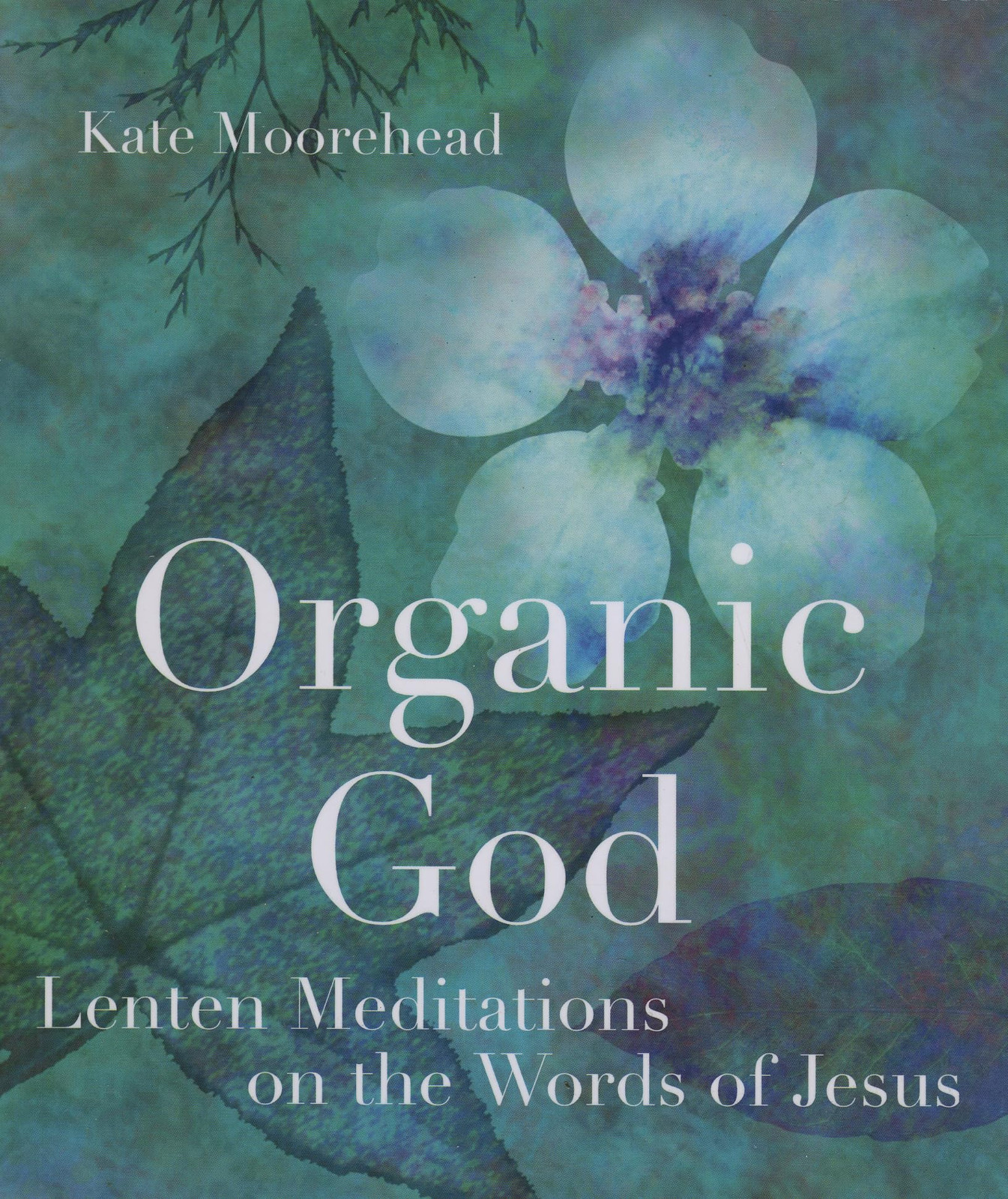 Organic God: Lenten Meditations on the Words of Jesus – Moorehead, Kate – Ve…