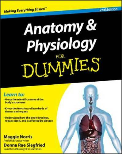 Anatomy and Physiology For Dummies – Paperback By Norris, Maggie – GOOD