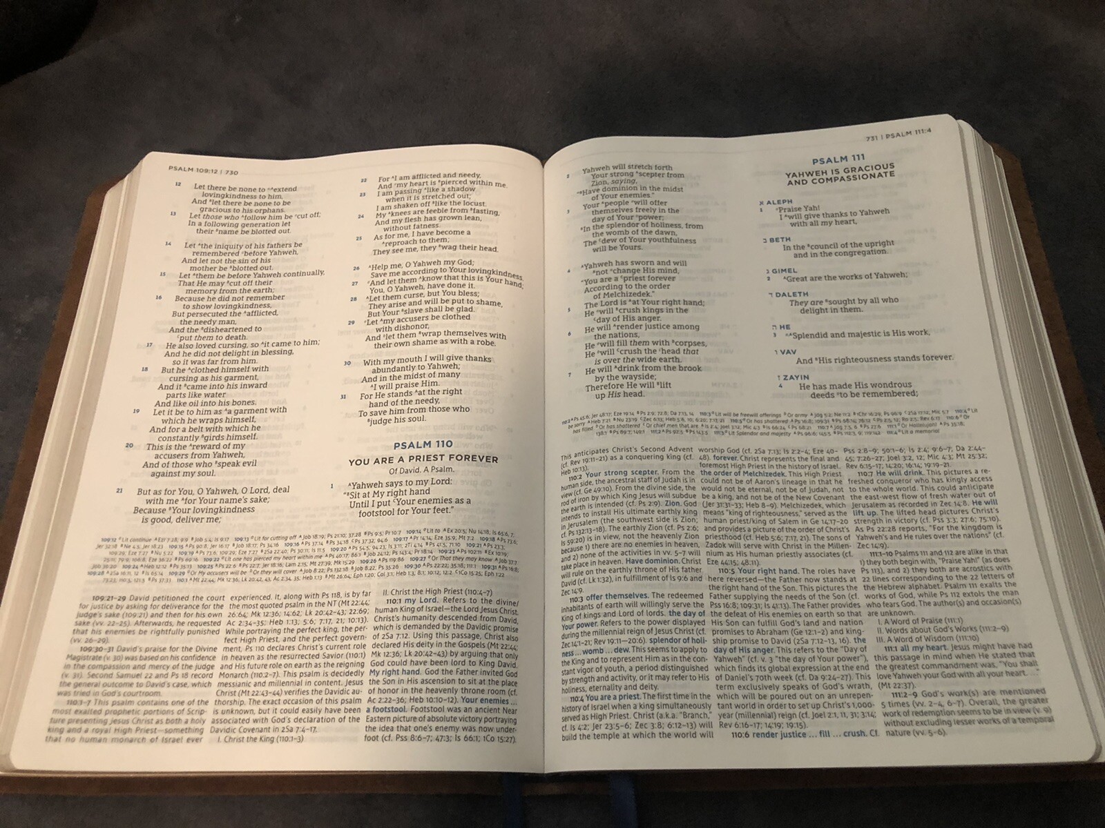 LSB Legacy Standard MacArthur Study Bible Genuine Leather Steadfast 316