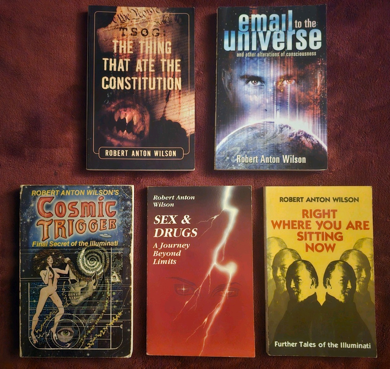 5 book Robert Anton Wilson lot Sex & Drugs Cosmic Trigger Email To Universe