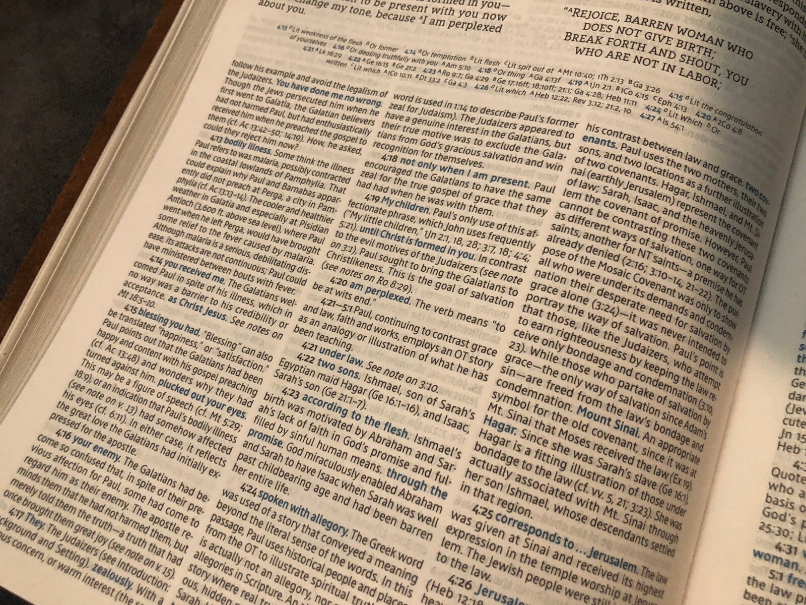 LSB Legacy Standard MacArthur Study Bible Genuine Leather Steadfast 316