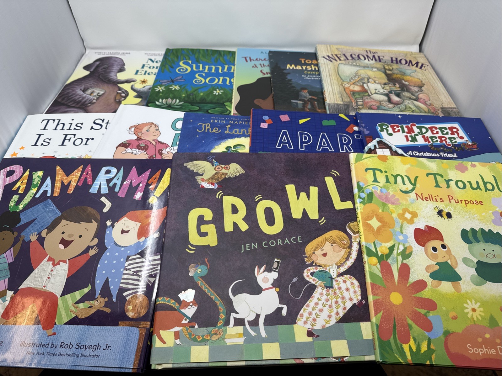 Lot of 13 Children’s Kids books Hardcovers Various Titles And Ages