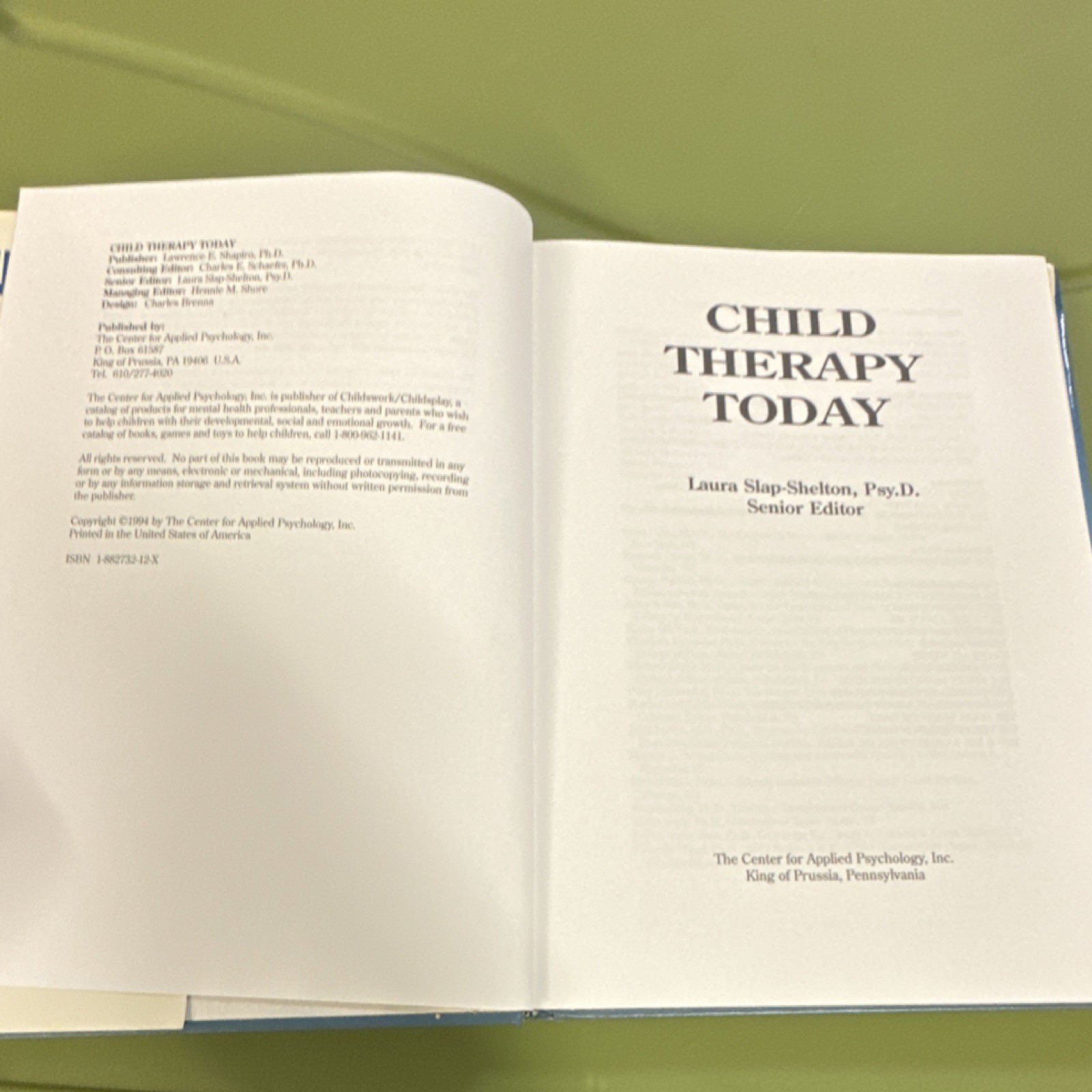 LAWRENCE E. SHAPIRO CHILD THERAPY TODAY CHILD THERAPY NEWS VOL 1 1994 HC