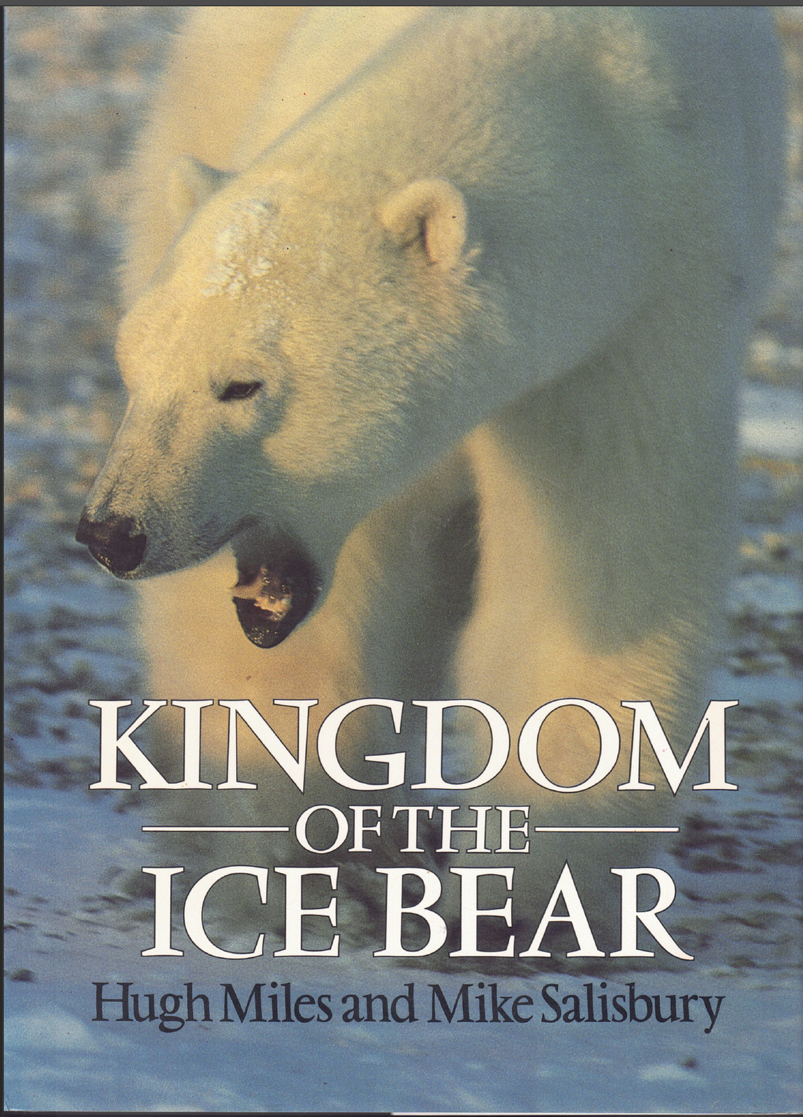Kingdom of the Ice Bear – Portrait of the Arctic ; Hugh Miles & Mike Salisbury