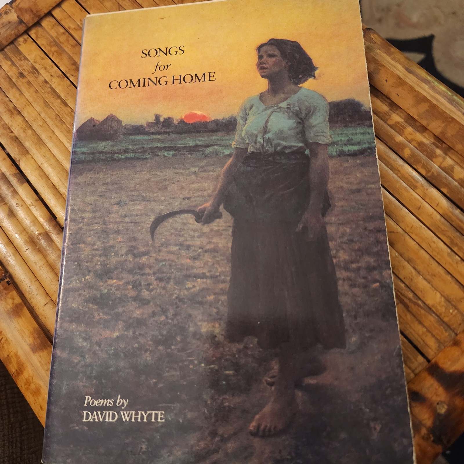 Songs for Coming Home by David Whyte