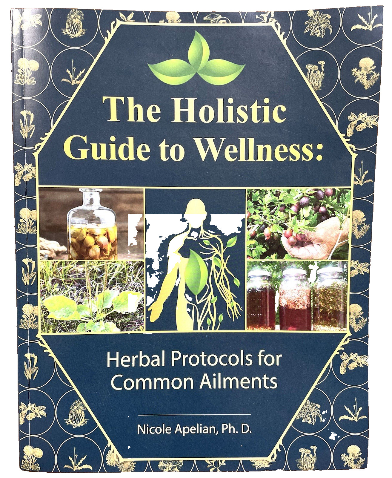 The Holistic Guide to Wellness : Herbal Protocols for Common Ailments