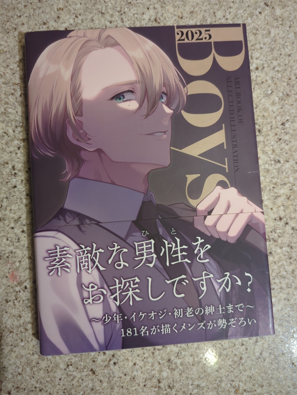 Boys 2025 Compilation Anime Art book 181 Illustrators Like New With Obi Japan