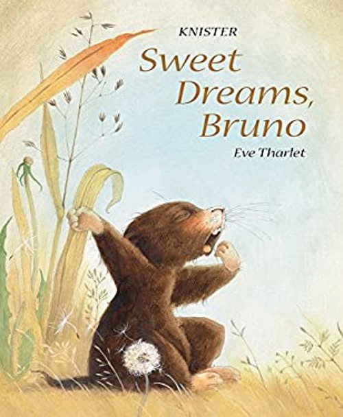 Sweet Dreams, Bruno Hardcover Knister