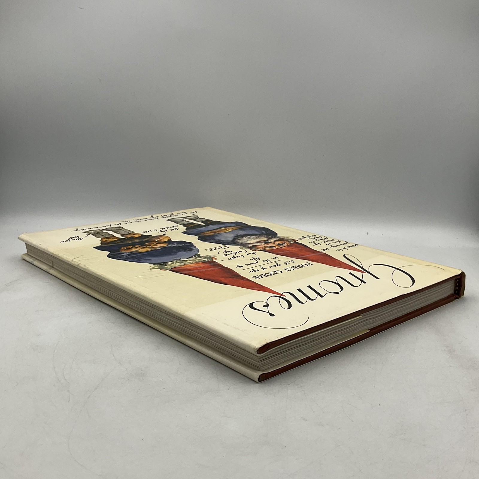 GNOMES Wil Huygen Rien Poortvliet 1977 Hardcover Harry N. Abrams DJ Brown