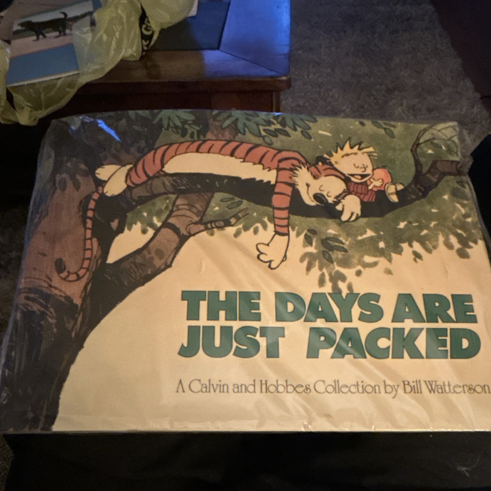 Bill Watterson The Days Are Just Packed Paperback Calvin and Hobbes Comic Book