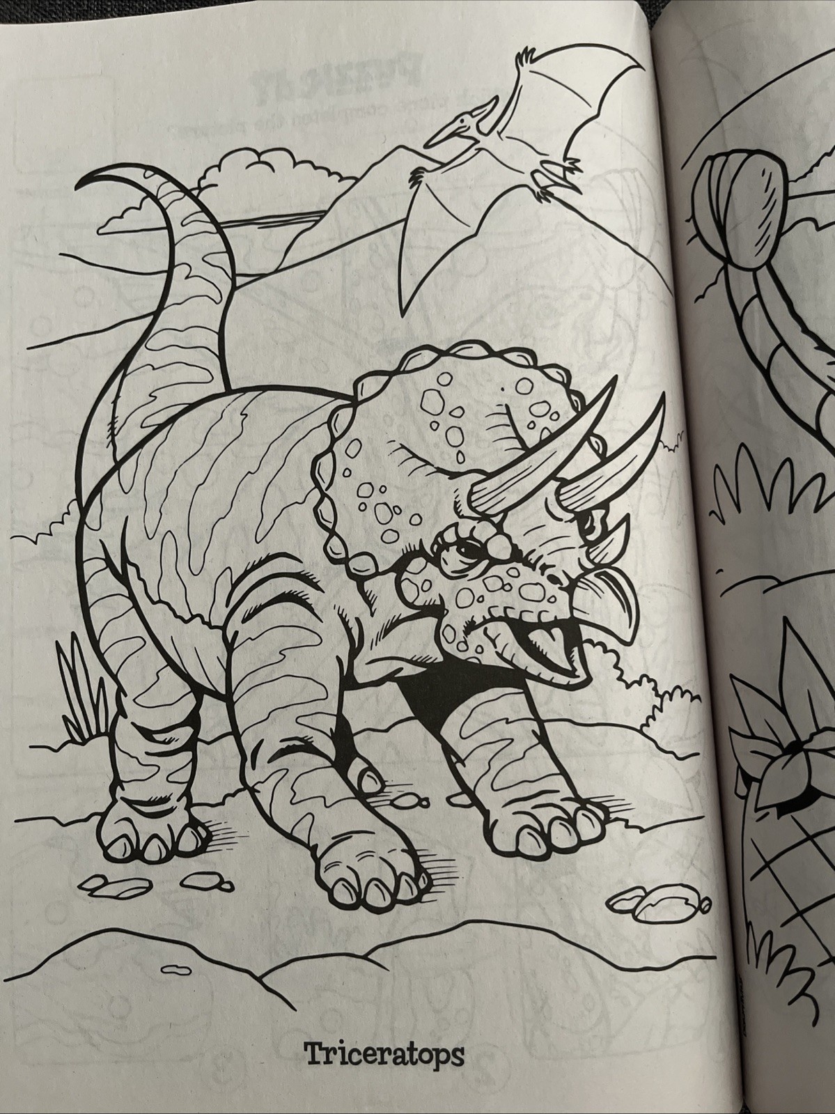 Dino Rawer! Dinosaur Coloring & Activity Book Dinosaurs to Color T-Rex
