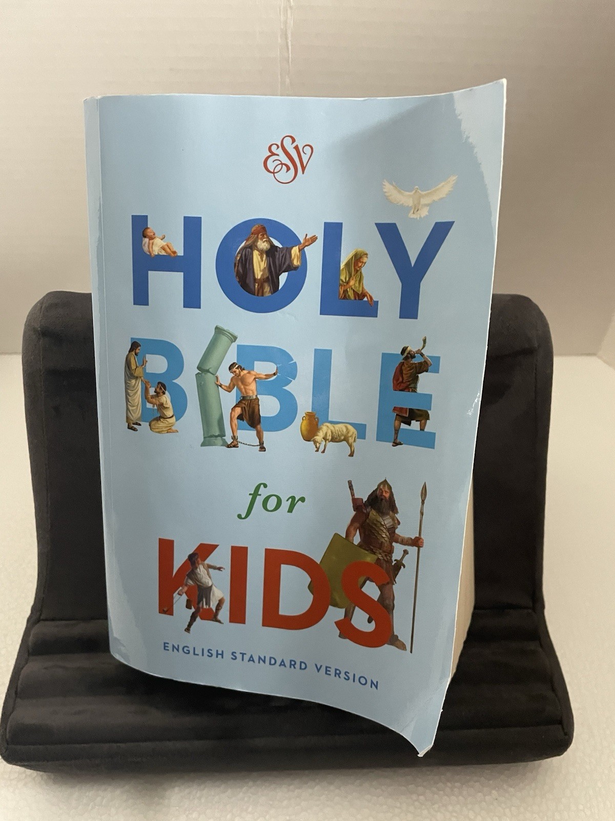 ESV Holy Bible for Kids, (Paperback)(2017)