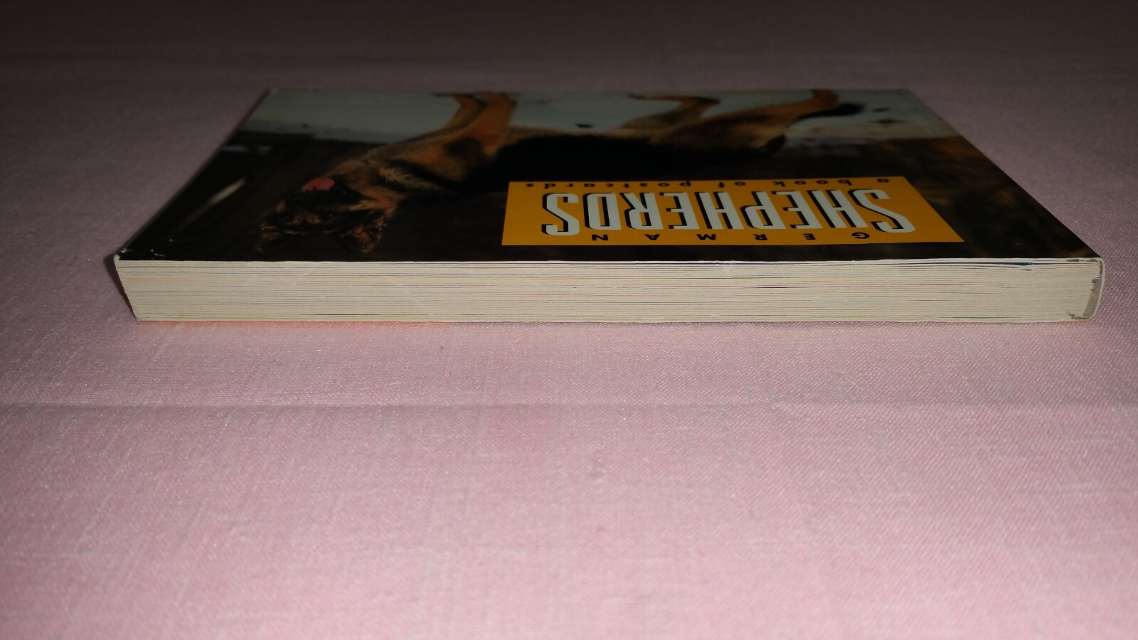 GERMAN SHEPHERDS A BOOK OF POSTCARDS – MISSING 1 POSTCARD
