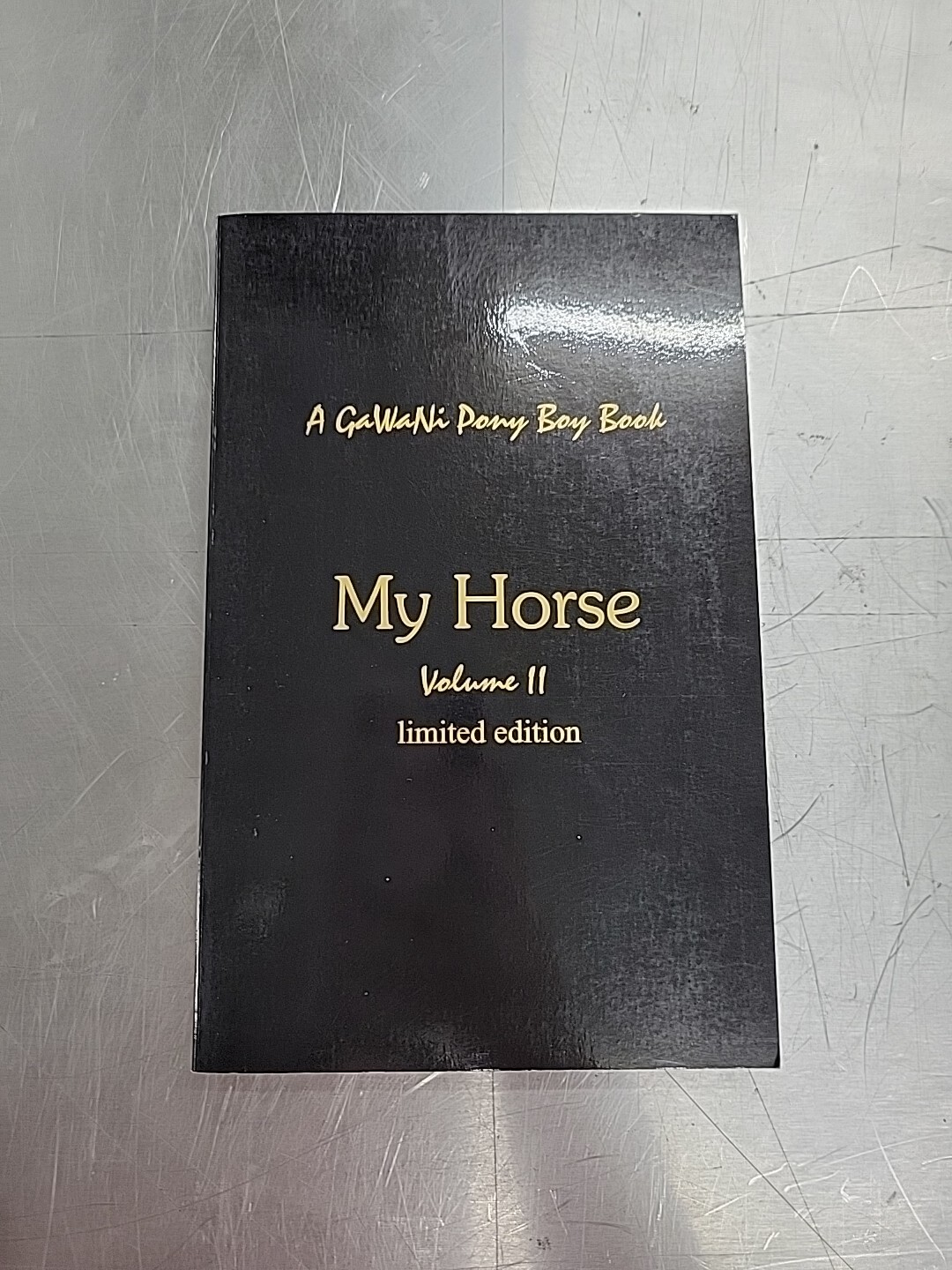 Signed – Limited Edition My Horse Volume 2 A Gawani Pony Boy Book