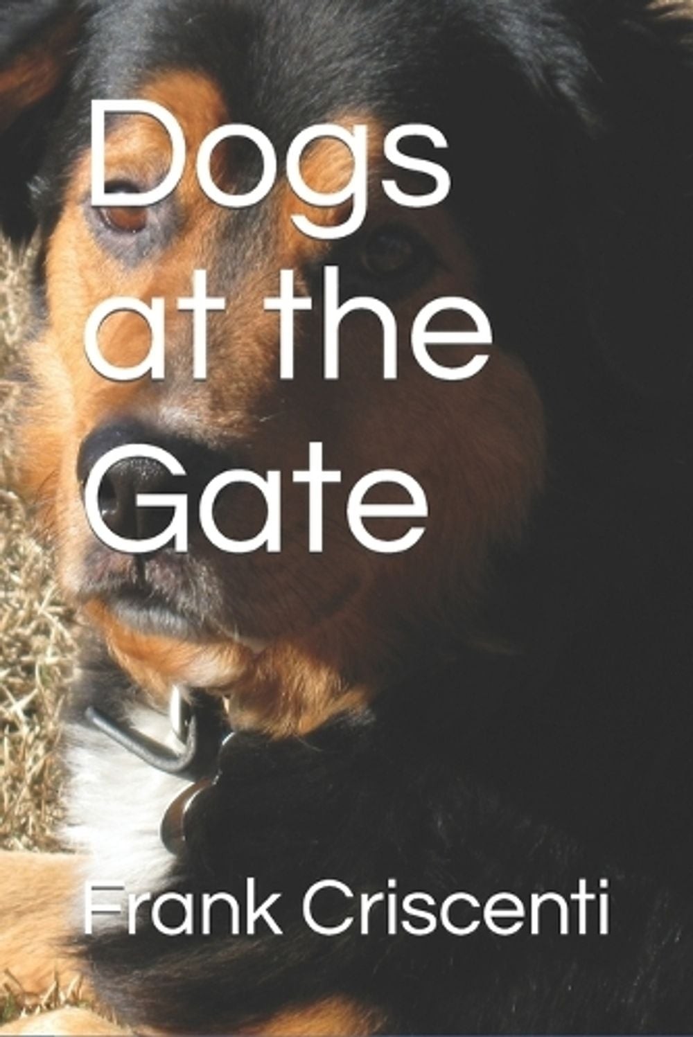 Dogs at the Gate by Frank Criscenti Paperback Book