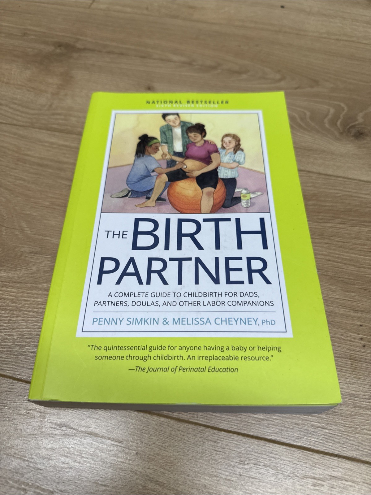 The Birth Partner, 6Th Revised Edition: A Complete Guide To …