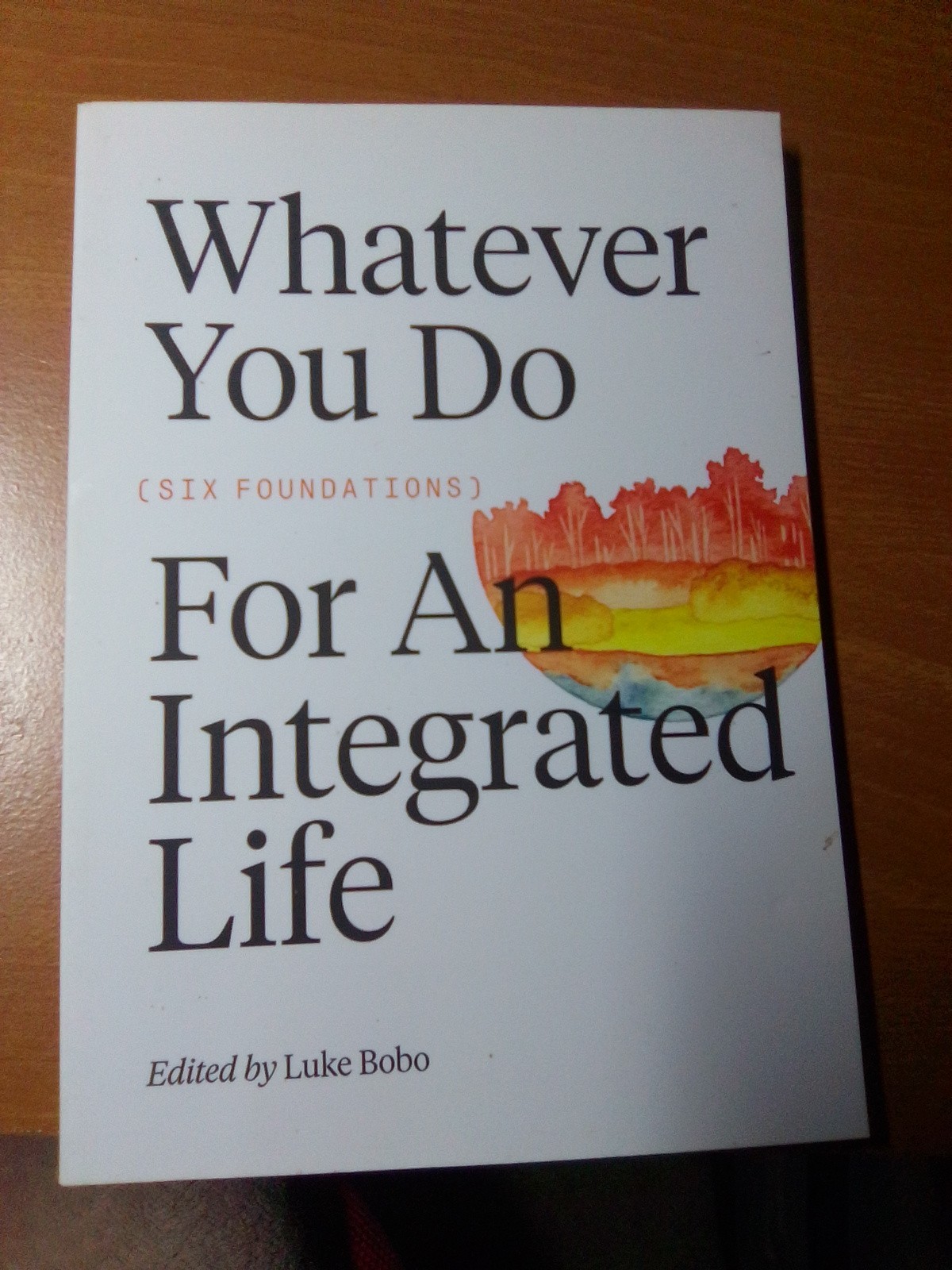 Whatever you do: Six Foundations for an Integrated Life (FWE Foundat – VERY GOOD