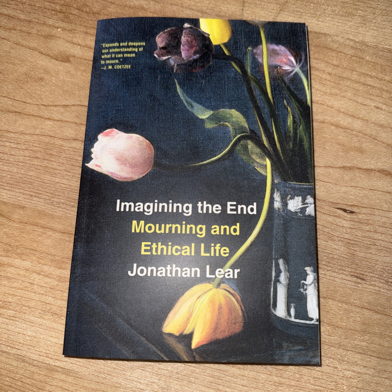 Imagining the End : Mourning and Ethical Life by Jonathan Lear (2024, Trade…