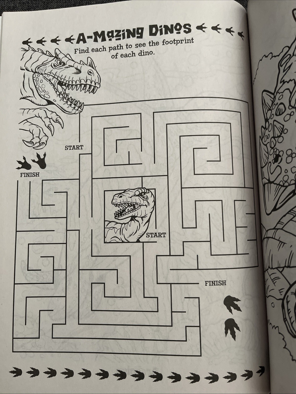 Dino Rawer! Dinosaur Coloring & Activity Book Dinosaurs to Color T-Rex