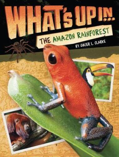What’s Up in the Amazon Rainforest – Paperback By Clarke, Ginjer L. – GOOD