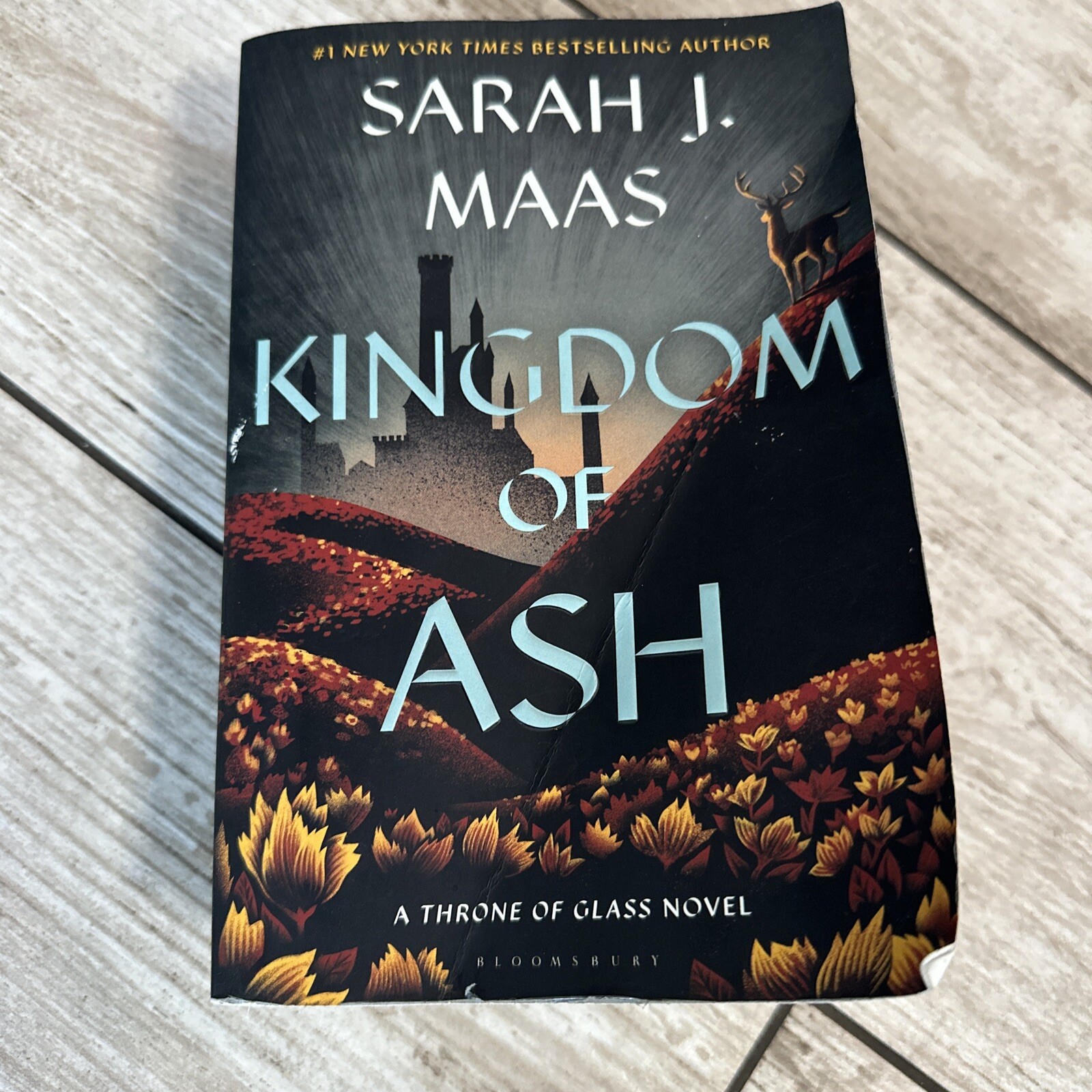 Kingdom of Ash [Throne of Glass, 7] Maas, Sarah J.