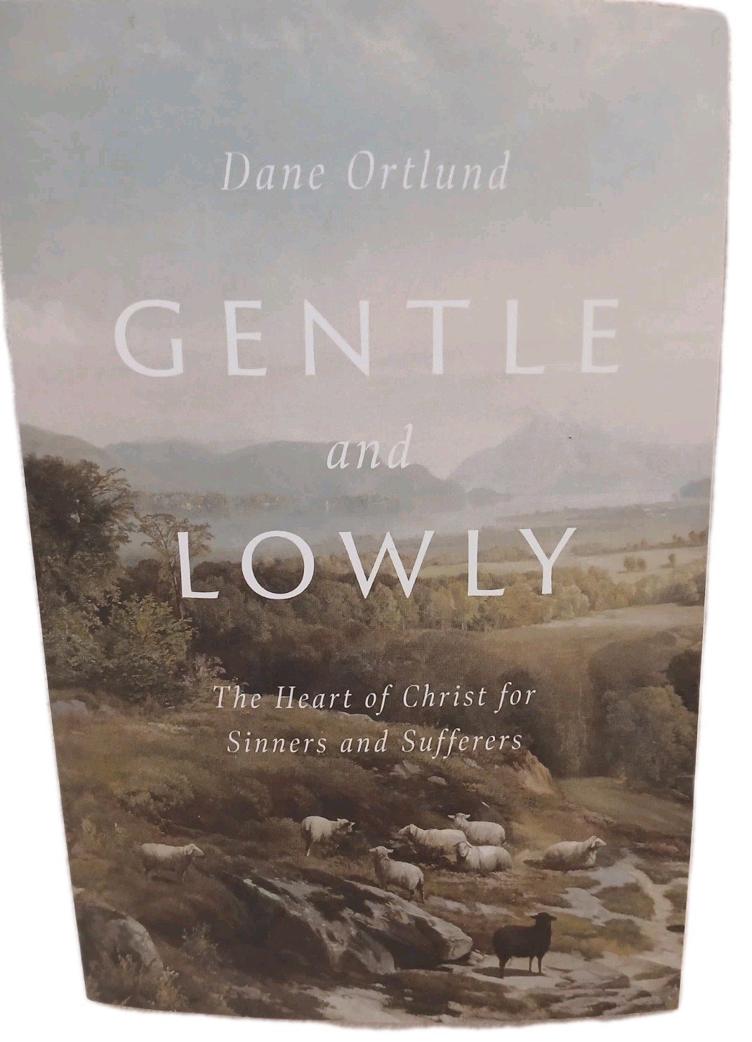 Gentle And Lowly by Dane Ortlund, The Heart of Christ for Sinners