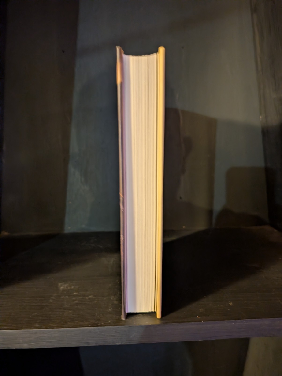 Terry Pratchett Raising Steam (Discworld) Hardcover w/ Dust Jacket Doubleday