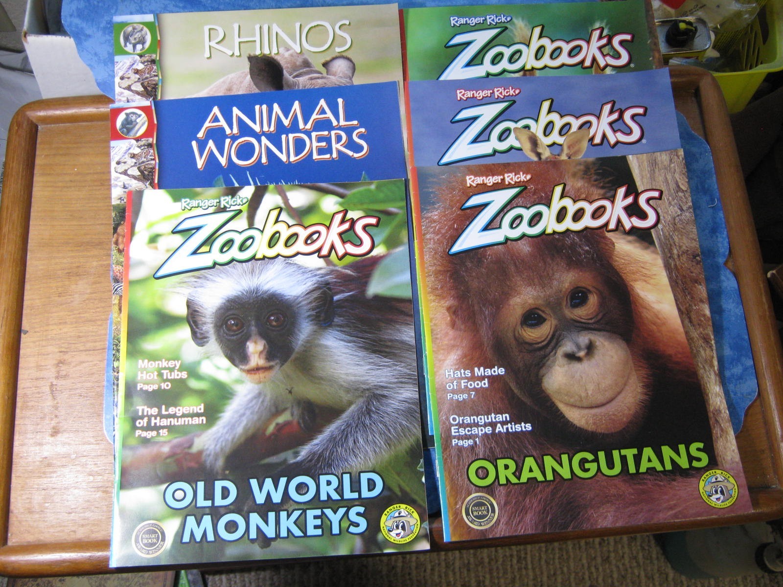 LOT OF 6 RANGER RICK ZOOBOOKS Monkeys KANGAROOS Animal Wonders RHINOS Orangutans