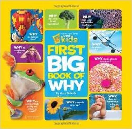 National Geographic Kids First Big Book of Why (National Geographic Littl – GOOD