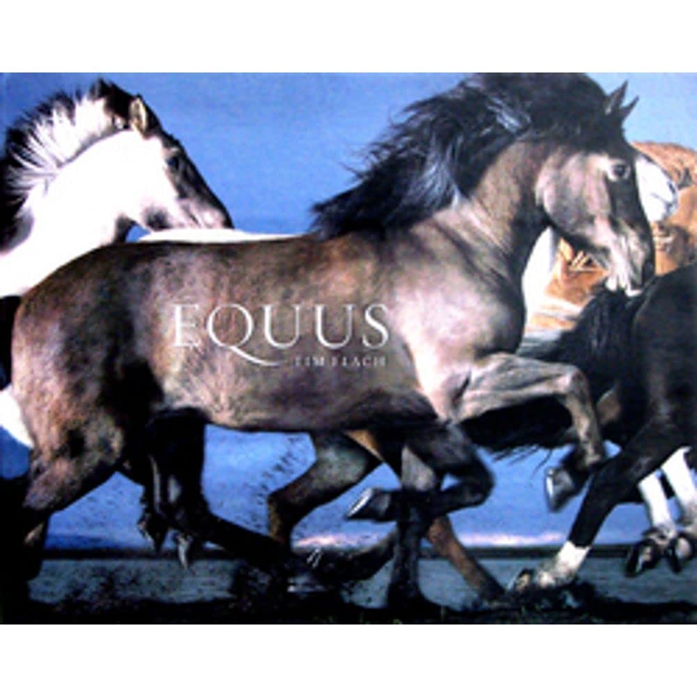 Equus by Tim Flach