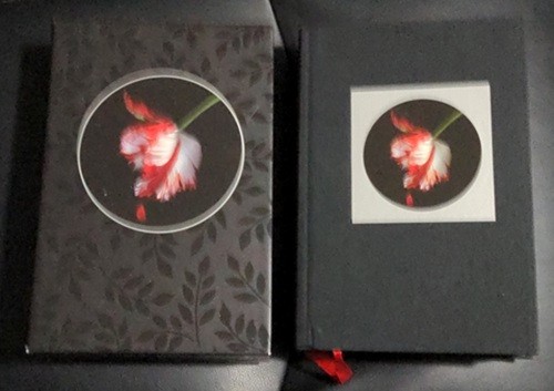 Signed / Slipcased Stephenie Meyer New Moon Collector’s Edition HC Near Fine