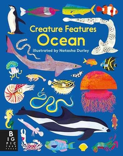 Creature Features: Ocean – Board book, by Big Picture Press – Very Good
