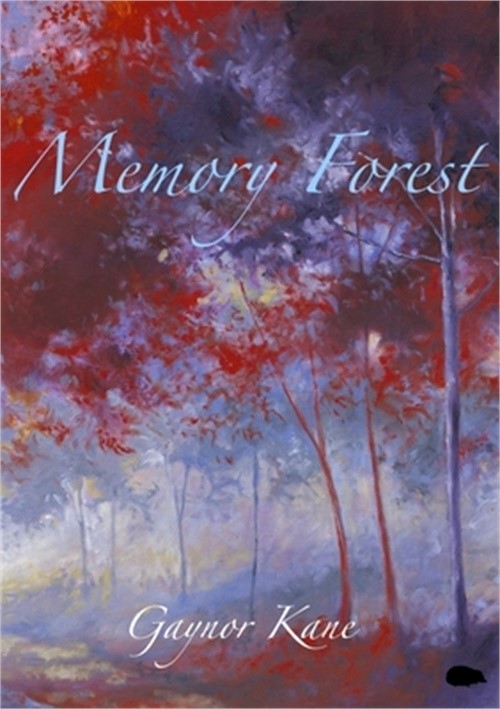 Memory Forest (Paperback or Softback)