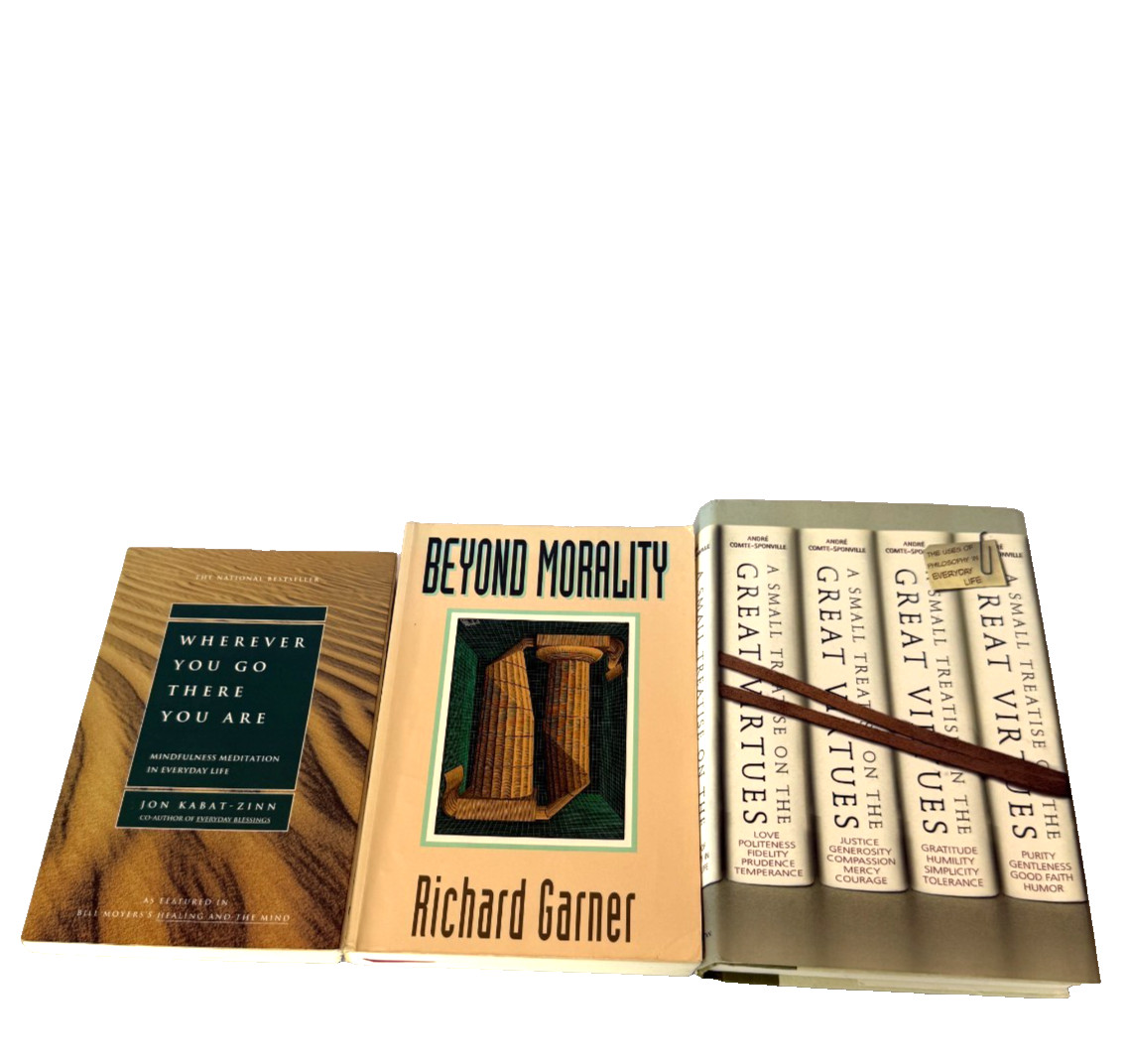 LOT 3 GREAT VIRTUES BEYOND MORALITY WHEREVER YOU GO MINDFULNESS PHILOSOPHY BOOK