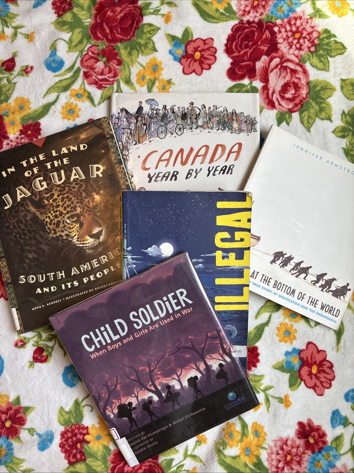 Guest Hollow High School Geography & Cultures Homeschool Curriculum Book Lot