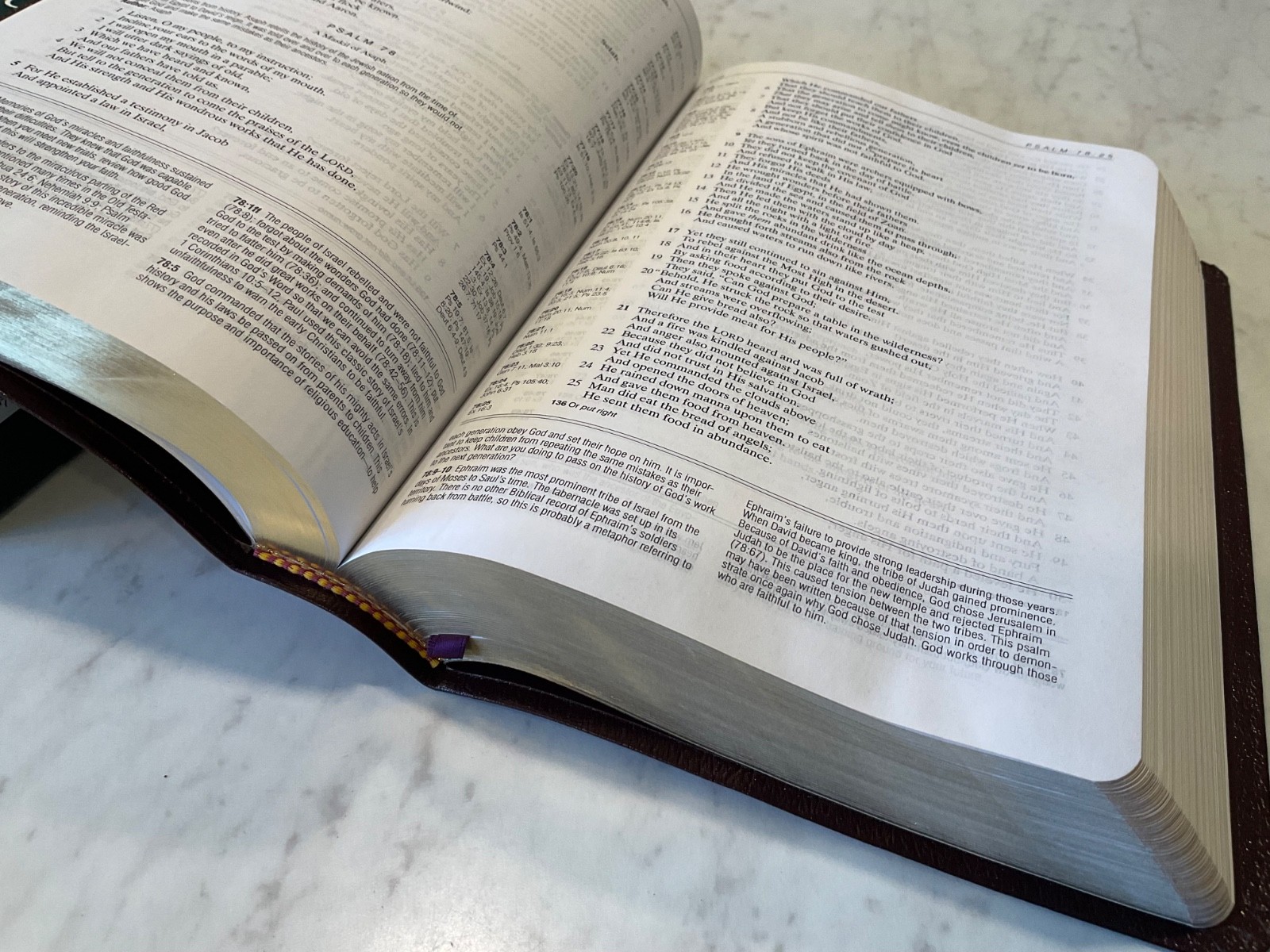 NASB Life Application Study Bible 2000 Burgundy Bonded Leather 1995 Text