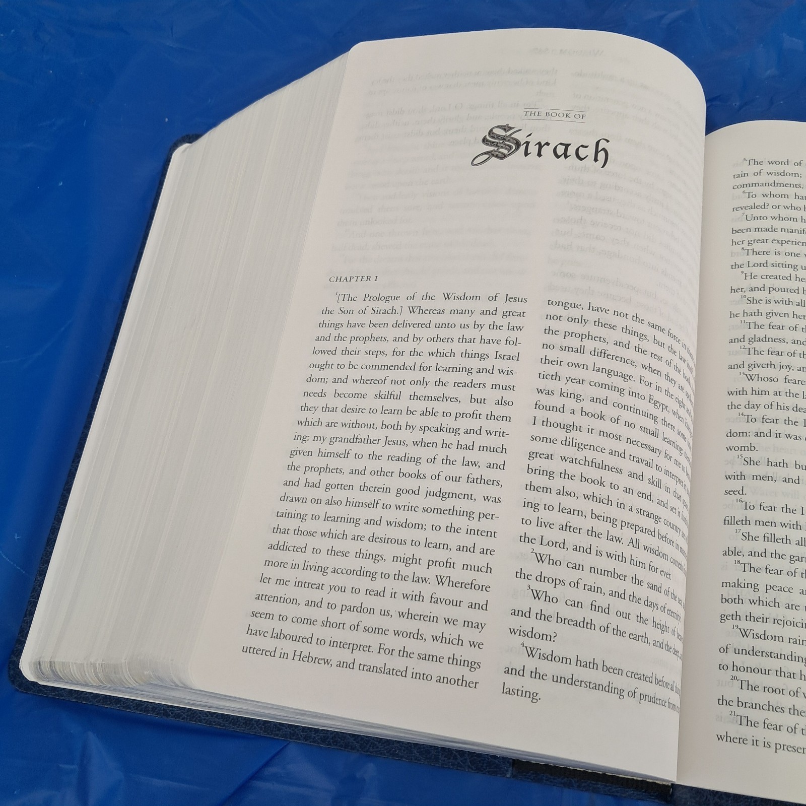 DEFENDER STUDY BIBLE LIMITED ED EXPANDED APOCRYPHA KJV ENOCH JUBILEE SKYWATCH TV
