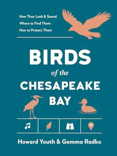 Birds of the Chesapeake Bay – Paperback, by Youth Howard; Radko – Very Good