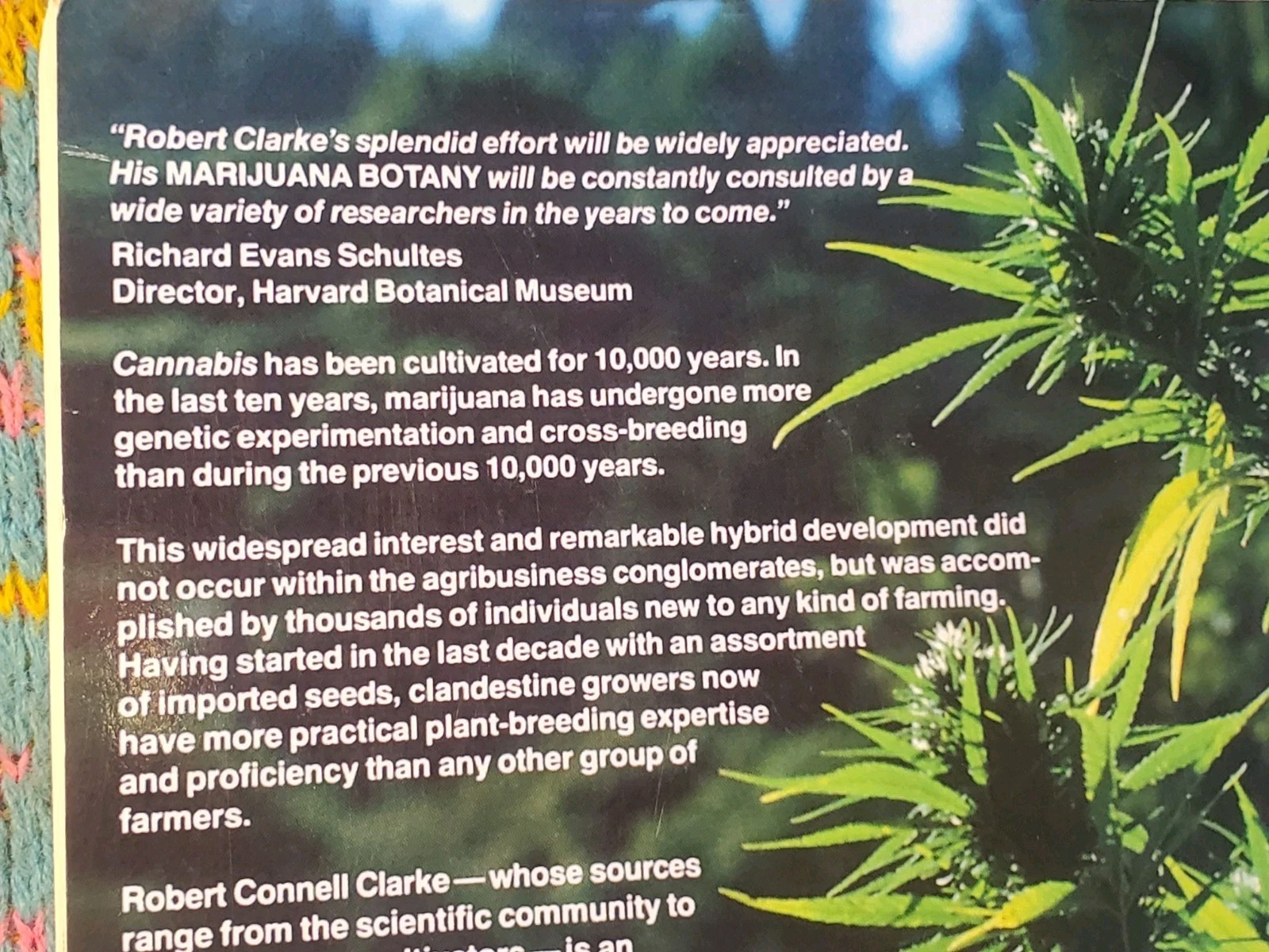 Marijuana Botany by Robert Clarke (Book) Cannabis Cultivation Advanced Study