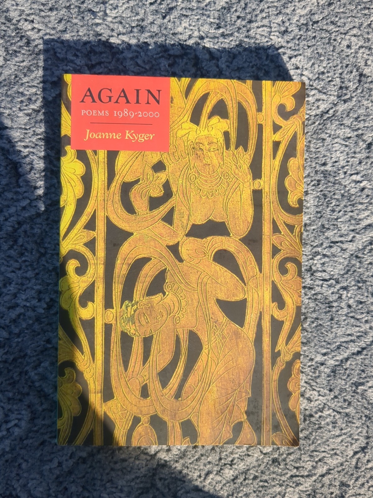 Again: Poems 1989-2000 By Joanne Kyler